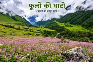 badrinath to valley of flowers